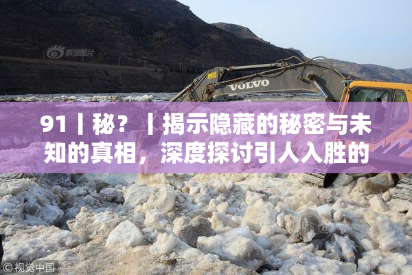 91丨秘？丨揭示隐藏的秘密与未知的真相，深度探讨引人入胜的故事