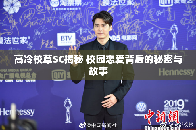 高冷校草SC揭秘 校园恋爱背后的秘密与故事
