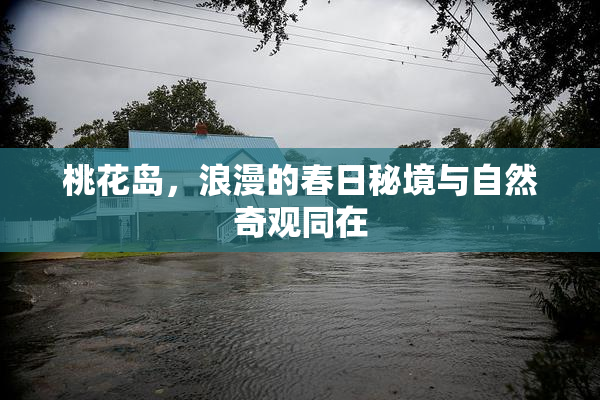 桃花岛，浪漫的春日秘境与自然奇观同在