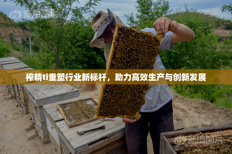 榨精ti重塑行业新标杆，助力高效生产与创新发展