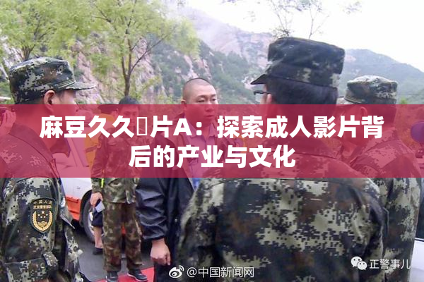 麻豆久久婬片A：探索成人影片背后的产业与文化