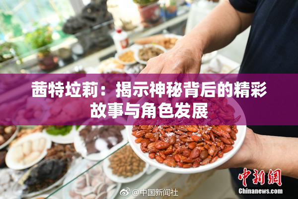 茜特垃莉：揭示神秘背后的精彩故事与角色发展