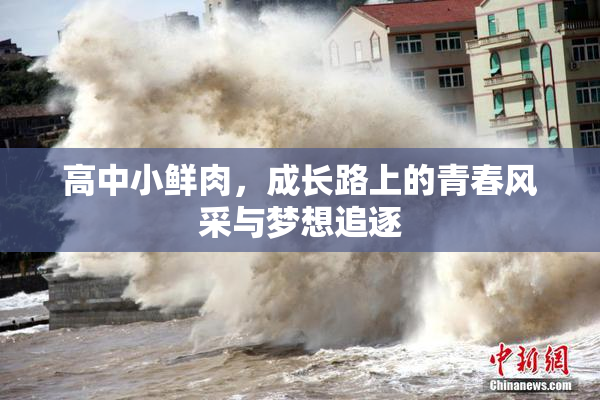高中小鲜肉，成长路上的青春风采与梦想追逐