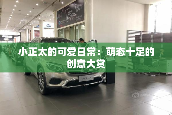 小正太的可爱日常：萌态十足的创意大赏