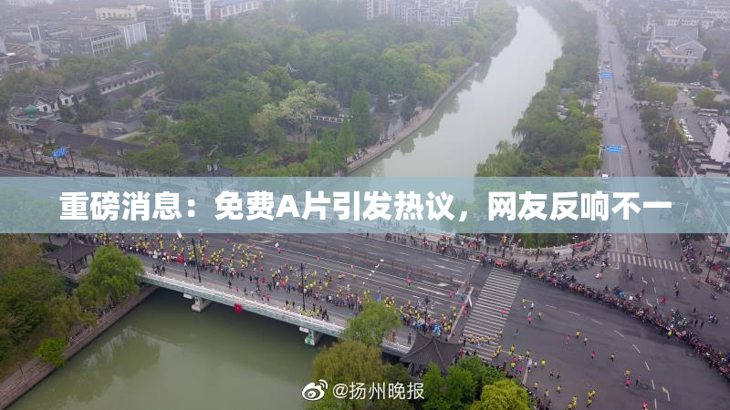 重磅消息：免费A片引发热议，网友反响不一