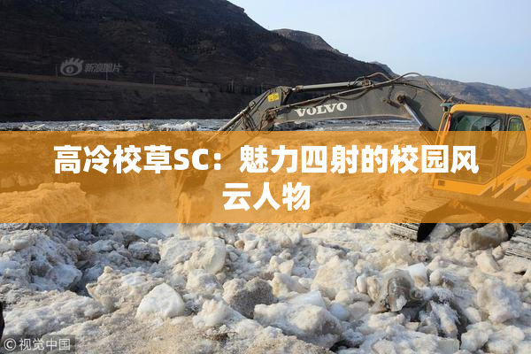 高冷校草SC：魅力四射的校园风云人物