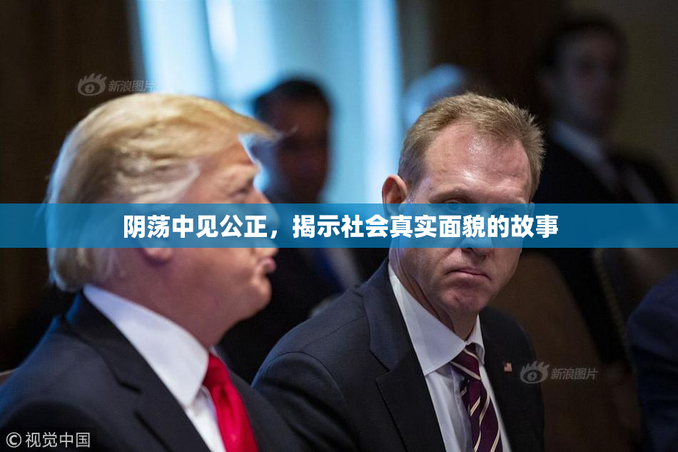 阴荡中见公正，揭示社会真实面貌的故事