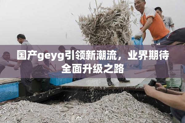 国产geyg引领新潮流，业界期待全面升级之路
