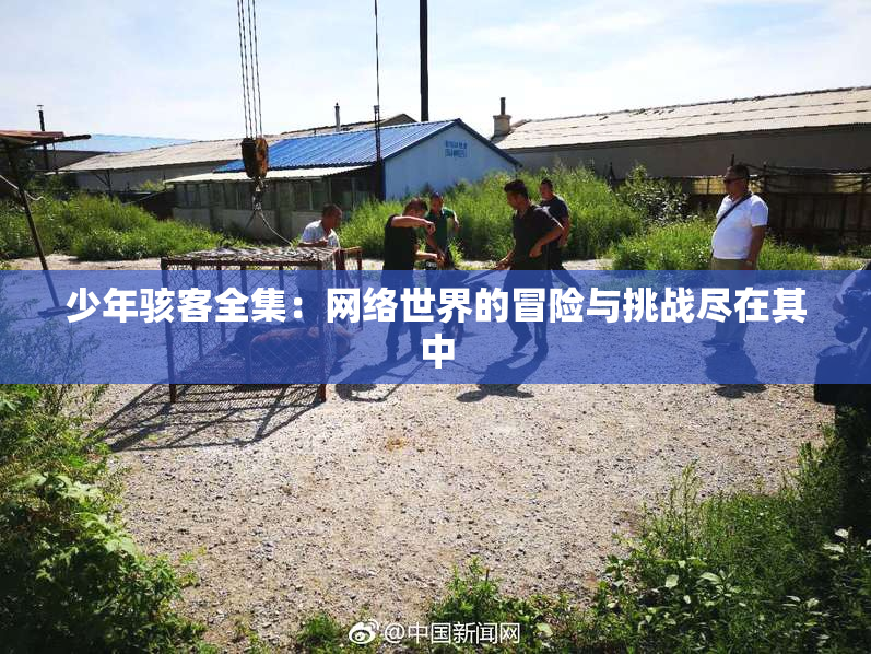 少年骇客全集：网络世界的冒险与挑战尽在其中