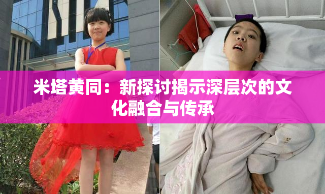米塔黄同：新探讨揭示深层次的文化融合与传承