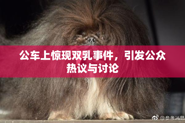 公车上惊现双乳事件，引发公众热议与讨论