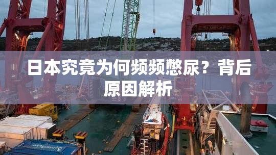 日本究竟为何频频憋尿？背后原因解析