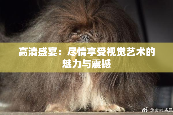 高清盛宴：尽情享受视觉艺术的魅力与震撼