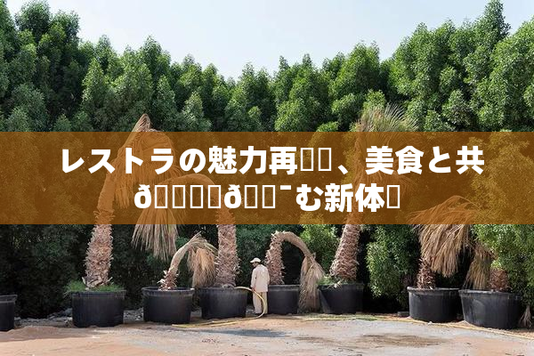 レストラの魅力再発見、美食と共🎆楽🔯む新体験