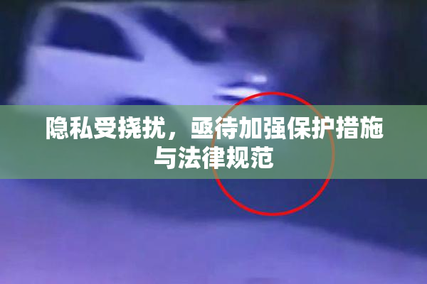 隐私受挠扰，亟待加强保护措施与法律规范