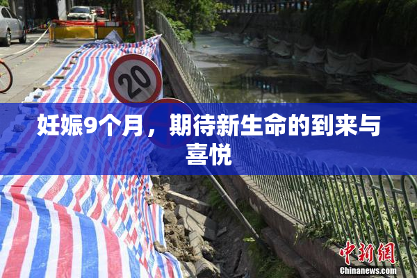 妊娠9个月，期待新生命的到来与喜悦