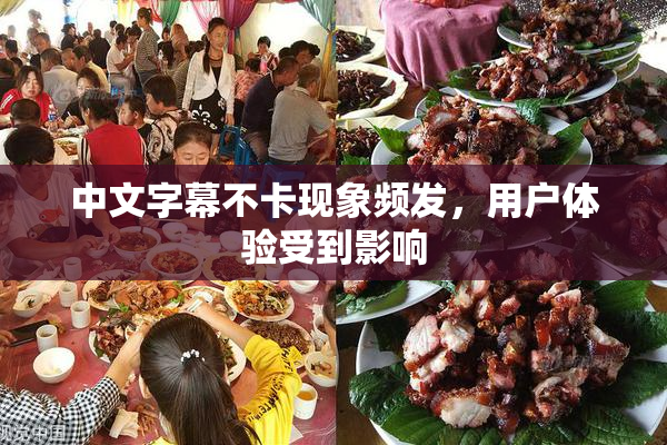 中文字幕不卡现象频发，用户体验受到影响