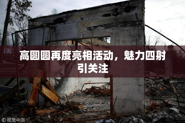 高圆圆再度亮相活动，魅力四射引关注