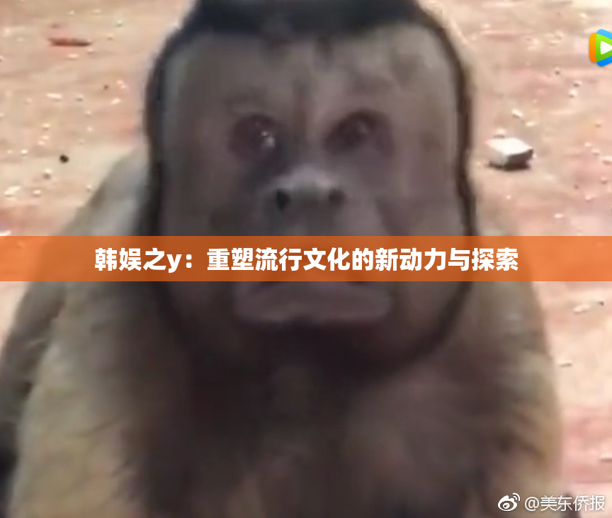 韩娱之y：重塑流行文化的新动力与探索