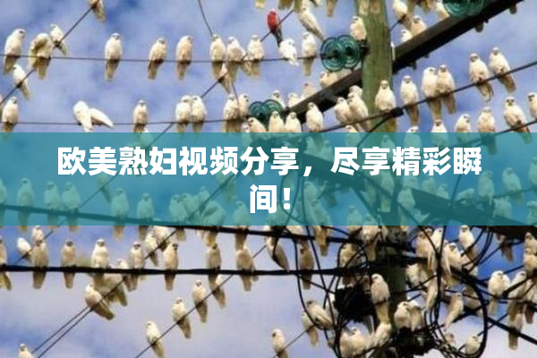 欧美熟妇视频分享，尽享精彩瞬间！