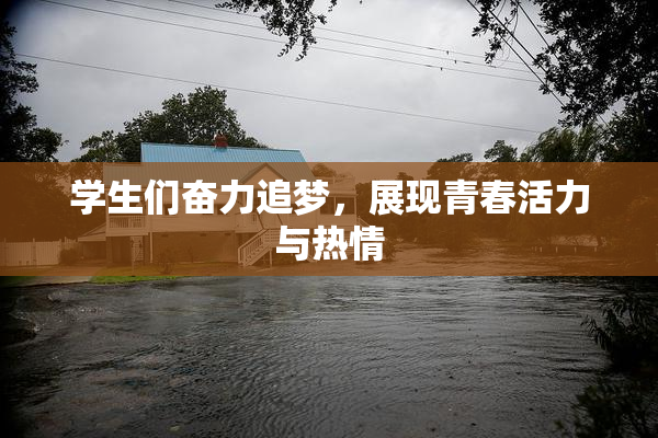 学生们奋力追梦，展现青春活力与热情