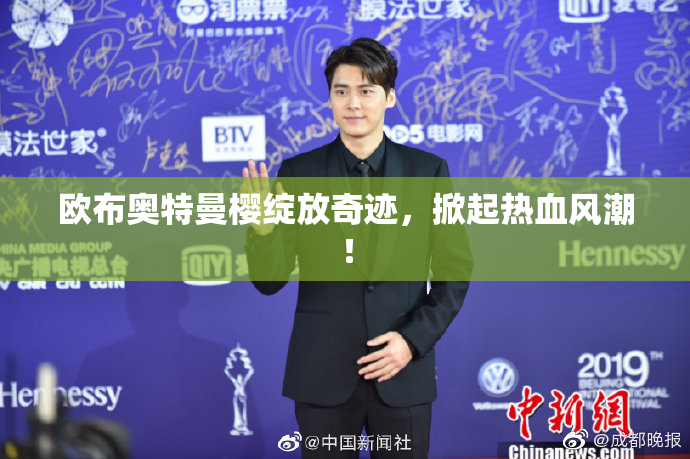 欧布奥特曼樱绽放奇迹，掀起热血风潮！