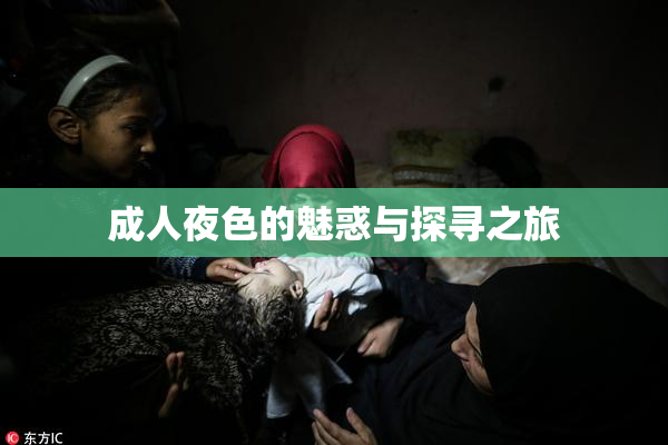 成人夜色的魅惑与探寻之旅
