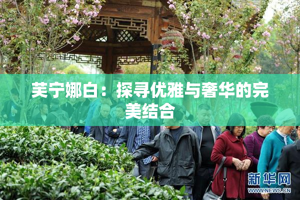 芙宁娜白：探寻优雅与奢华的完美结合