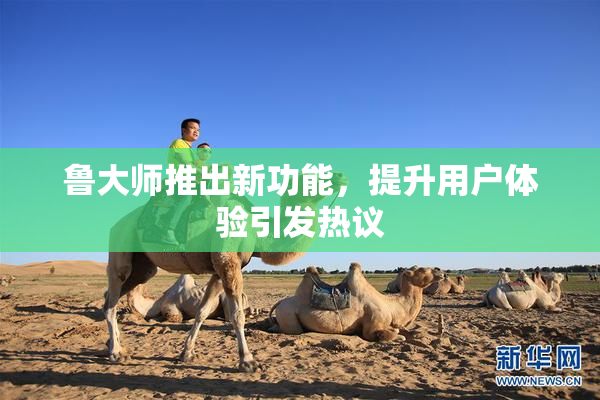 鲁大师推出新功能，提升用户体验引发热议