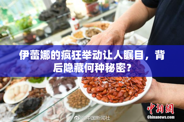 伊蕾娜的疯狂举动让人瞩目，背后隐藏何种秘密？