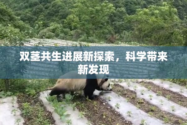双茎共生进展新探索，科学带来新发现