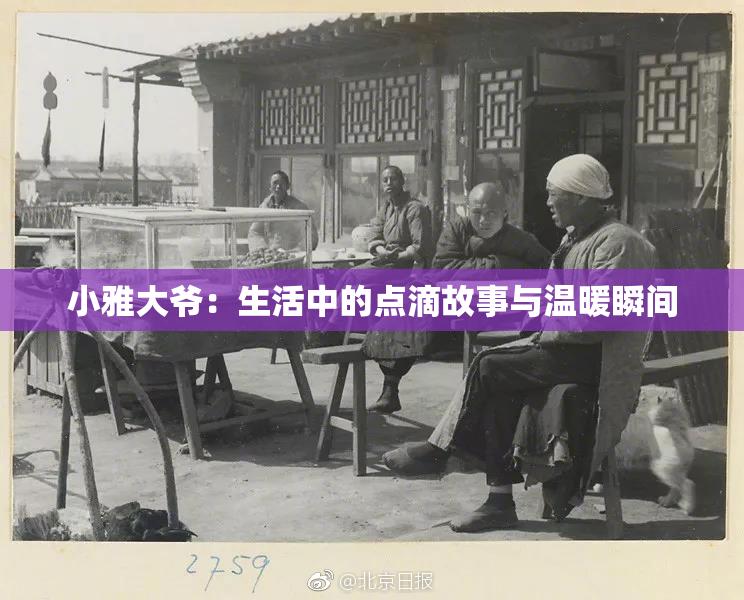 小雅大爷：生活中的点滴故事与温暖瞬间
