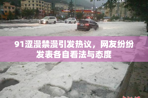 91涩漫禁漫引发热议，网友纷纷发表各自看法与态度