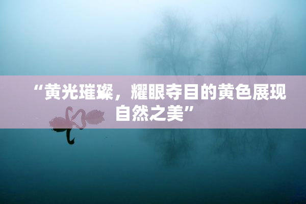 “黄光璀璨，耀眼夺目的黄色展现自然之美”