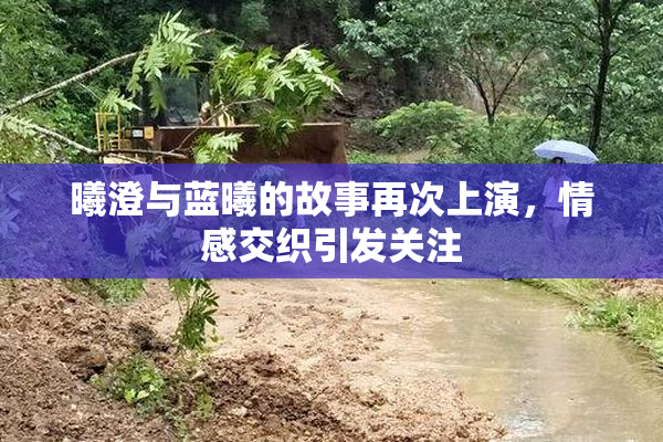 曦澄与蓝曦的故事再次上演，情感交织引发关注