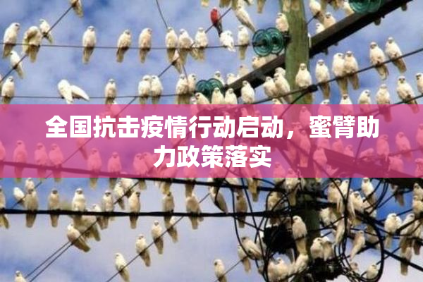 全国抗击疫情行动启动，蜜臂助力政策落实