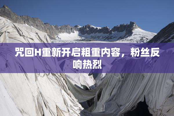 咒回H重新开启粗重内容，粉丝反响热烈
