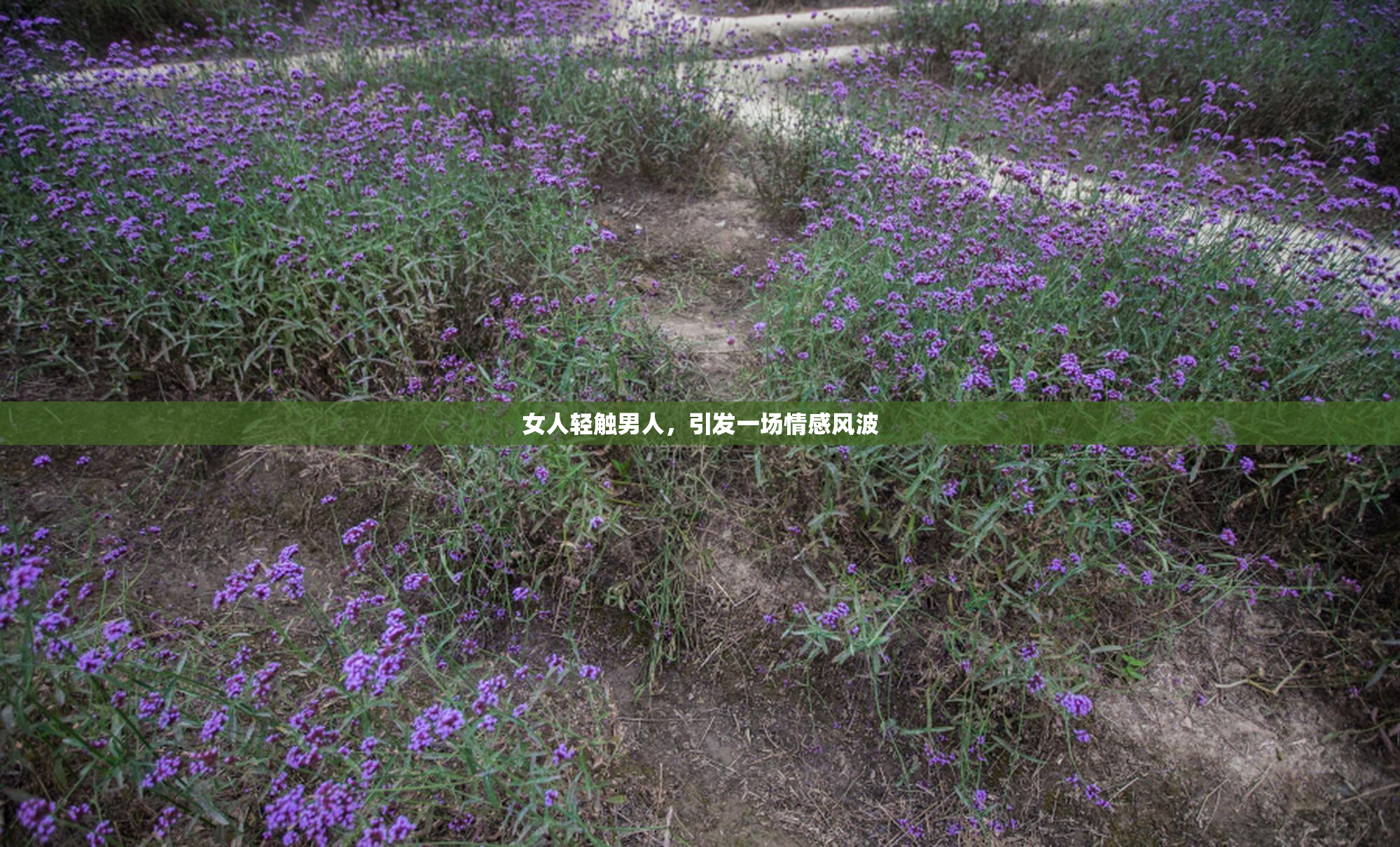 女人轻触男人，引发一场情感风波
