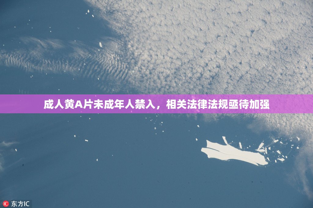 成人黄A片未成年人禁入，相关法律法规亟待加强