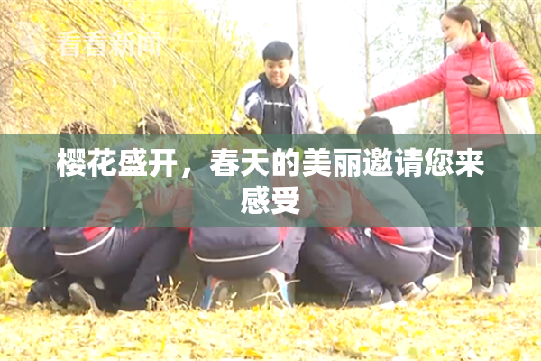 樱花盛开，春天的美丽邀请您来感受
