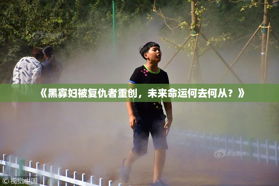 《黑寡妇被复仇者重创，未来命运何去何从？》