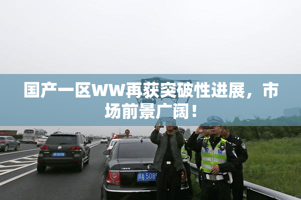 国产一区WW再获突破性进展，市场前景广阔！