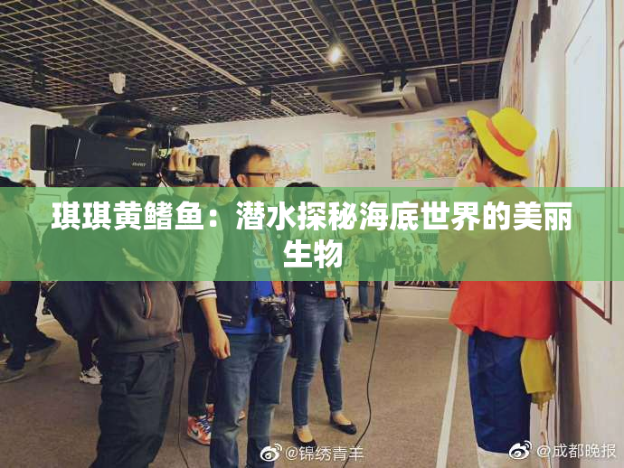 琪琪黄鳍鱼：潜水探秘海底世界的美丽生物
