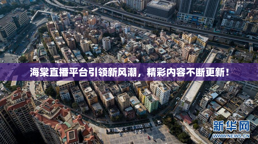 海棠直播平台引领新风潮，精彩内容不断更新！
