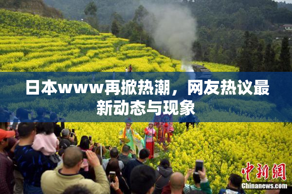 日本www再掀热潮，网友热议最新动态与现象