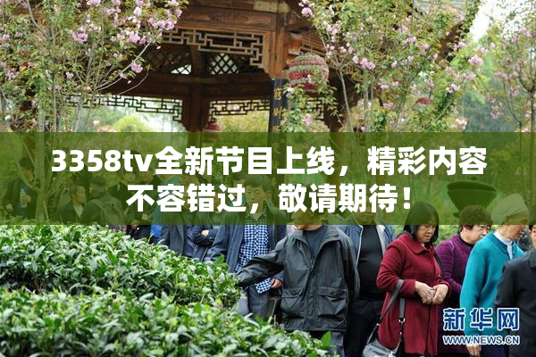 3358tv全新节目上线，精彩内容不容错过，敬请期待！