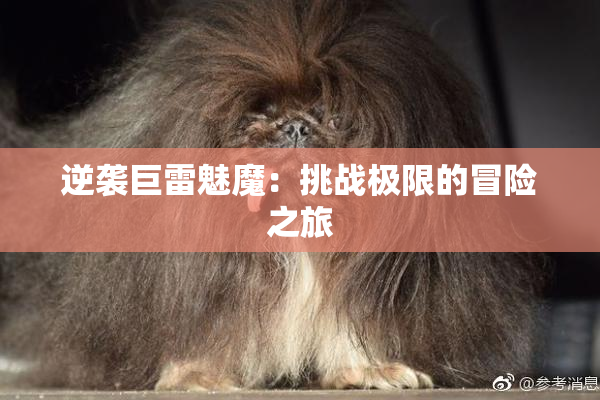 逆袭巨雷魅魔：挑战极限的冒险之旅