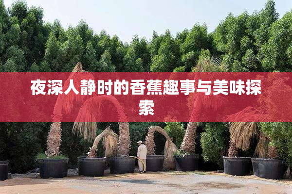 夜深人静时的香蕉趣事与美味探索