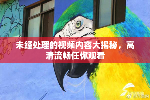 未经处理的视频内容大揭秘，高清流畅任你观看