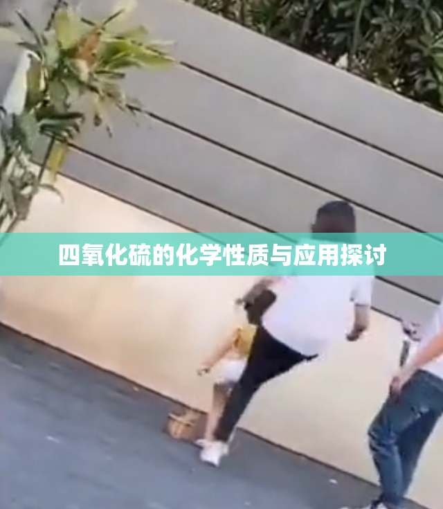 四氧化硫的化学性质与应用探讨